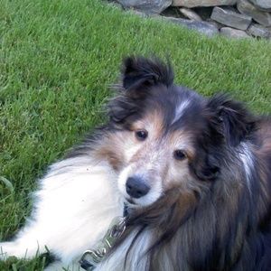 Meet your Posher, Joan